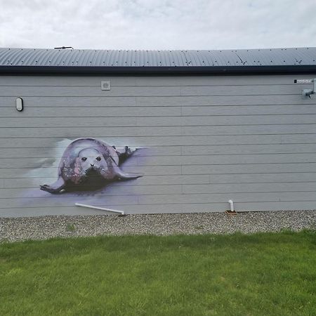 Easkey Glamping Village Exterior foto